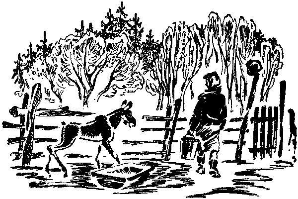 Лесная быль. Рассказы и повести - pic014.png