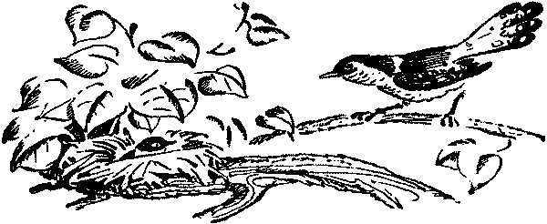 Лесная быль. Рассказы и повести - pic015.png