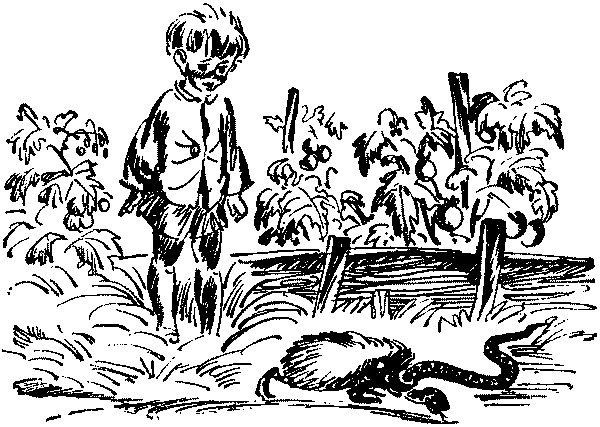 Лесная быль. Рассказы и повести - pic018.png