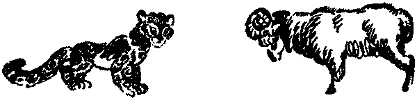 Лесная быль. Рассказы и повести - pic021.png