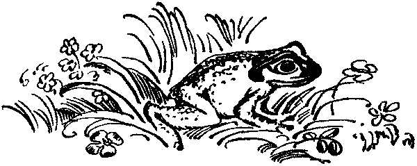 Лесная быль. Рассказы и повести - pic022.png