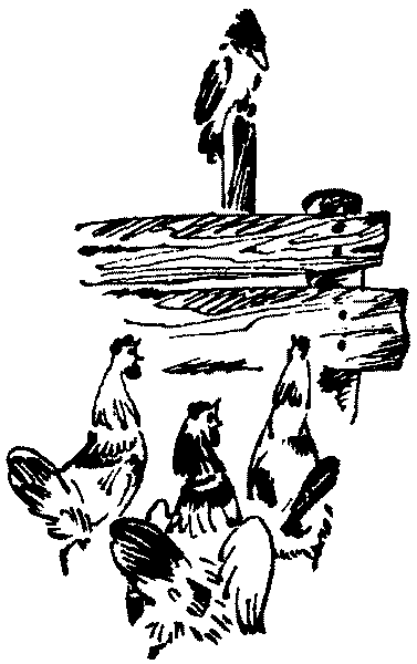 Лесная быль. Рассказы и повести - pic026.png