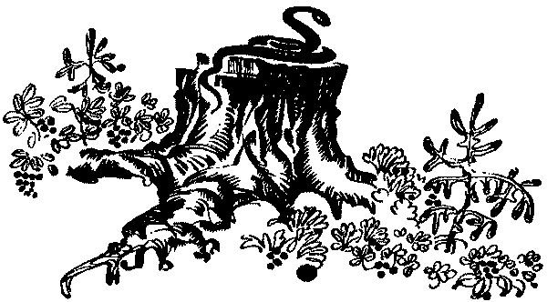 Лесная быль. Рассказы и повести - pic028.png