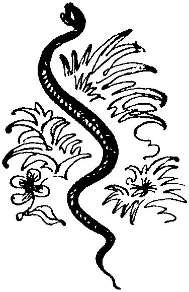 Лесная быль. Рассказы и повести - pic030.png