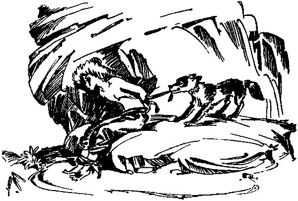 Лесная быль. Рассказы и повести - pic033.png