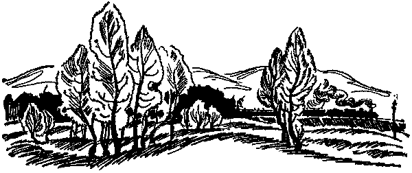 Лесная быль. Рассказы и повести - pic034.png