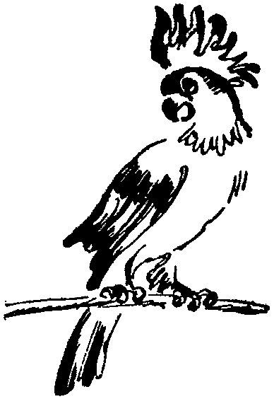 Лесная быль. Рассказы и повести - pic036.png