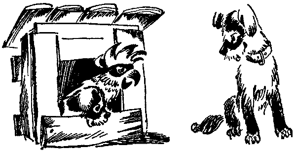 Лесная быль. Рассказы и повести - pic037.png