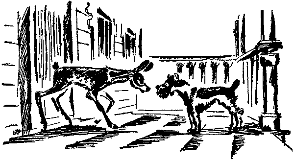 Лесная быль. Рассказы и повести - pic038.png