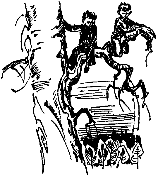 Лесная быль. Рассказы и повести - pic045.png