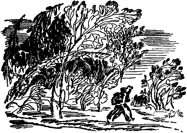 Лесная быль. Рассказы и повести - pic049.png