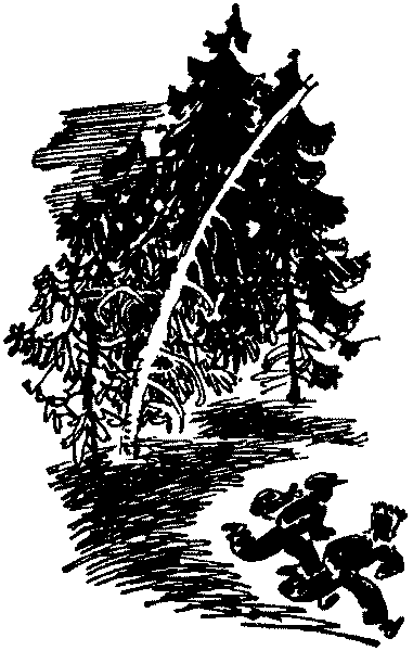 Лесная быль. Рассказы и повести - pic050.png