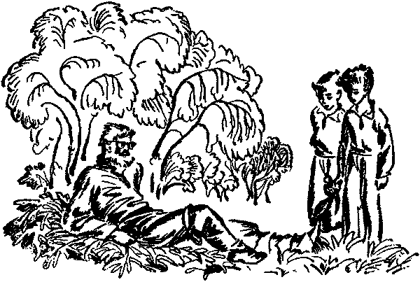 Лесная быль. Рассказы и повести - pic051.png