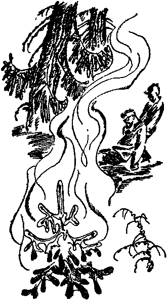 Лесная быль. Рассказы и повести - pic053.png