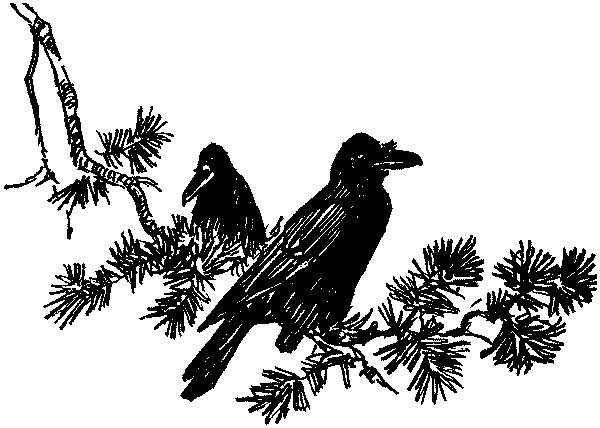 Полосатая спинка. Рассказы - pic01.png