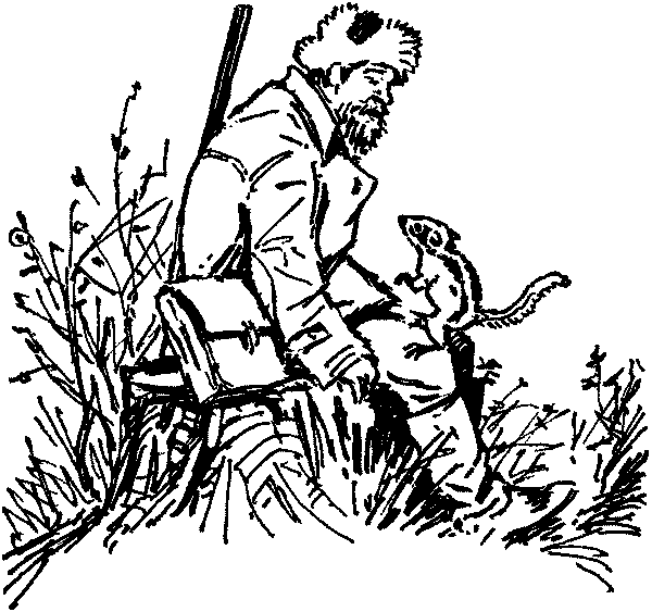 Полосатая спинка. Рассказы - pic02.png