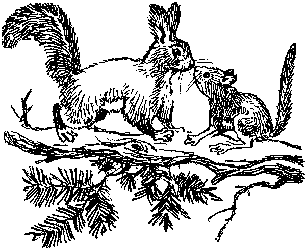 Полосатая спинка. Рассказы - pic03.png