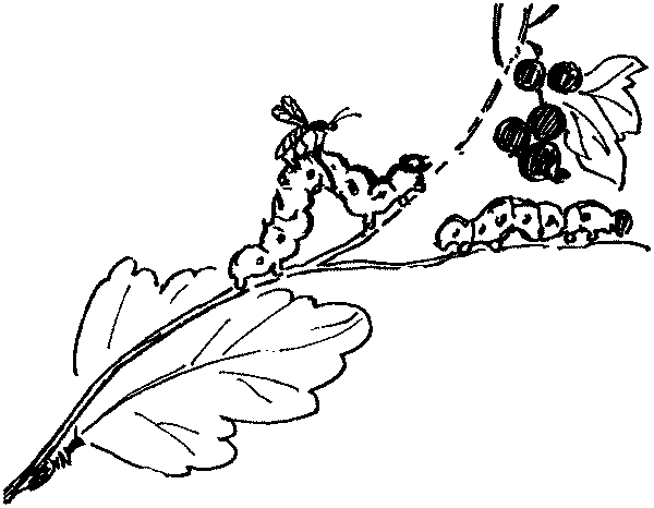 Полосатая спинка. Рассказы - pic08.png