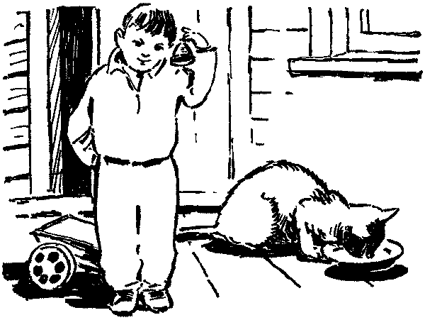 Полосатая спинка. Рассказы - pic11.png