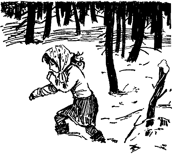 Полосатая спинка. Рассказы - pic12.png