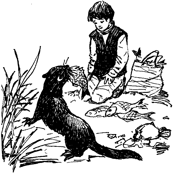 Полосатая спинка. Рассказы - pic15.png