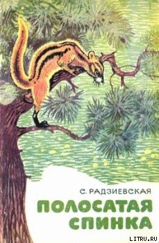 Книга Полосатая спинка. Рассказы