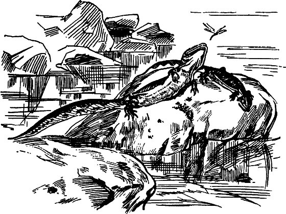 Как развивалась жизнь на Земле - i_006.png