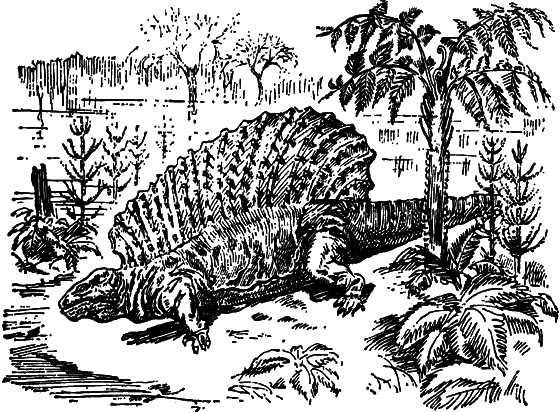 Как развивалась жизнь на Земле - i_007.png