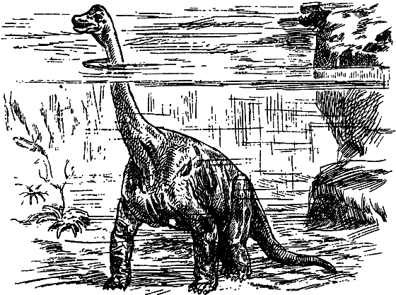 Как развивалась жизнь на Земле - i_009.png