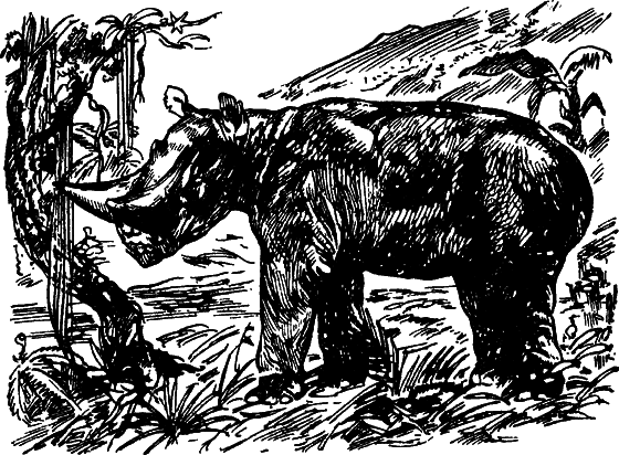 Как развивалась жизнь на Земле - i_023.png