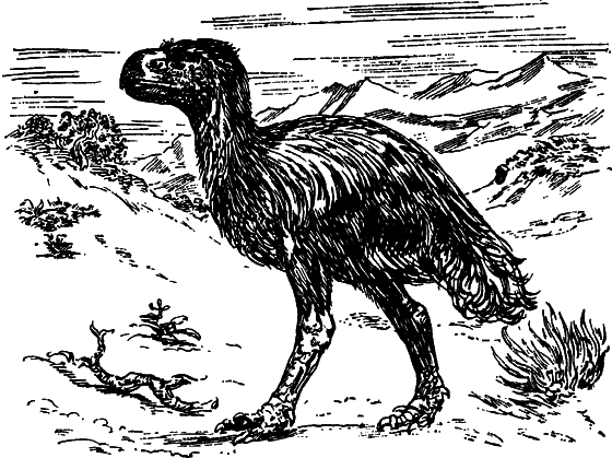 Как развивалась жизнь на Земле - i_025.png