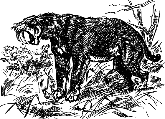 Как развивалась жизнь на Земле - i_027.png