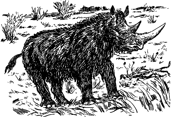 Как развивалась жизнь на Земле - i_030.png