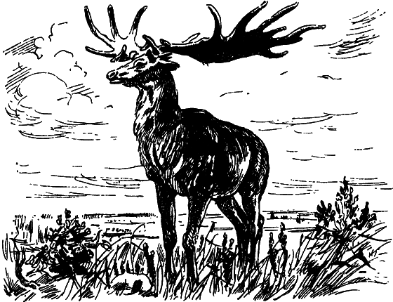 Как развивалась жизнь на Земле - i_031.png