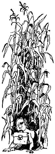 Необычайные приключения Робинзона Кукурузо и его верного друга одноклассника Павлуши Завгороднего в школе, дома и на необитаемом острове поблизости села Васюковки - pic_10.png