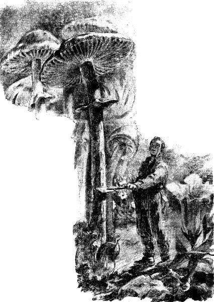 Ущелье Батырлар-джол (журн. вариант) - pic_13.jpg