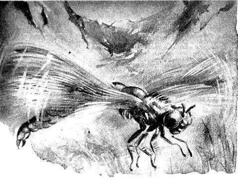 Ущелье Батырлар-джол (журн. вариант) - pic_20.jpg