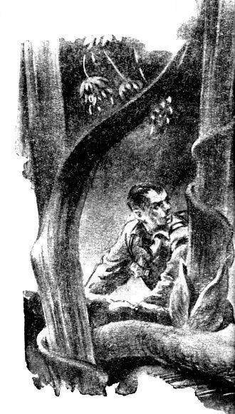 Ущелье Батырлар-джол (журн. вариант) - pic_24.jpg