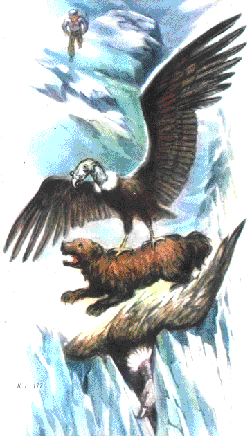 Пленники Барсова ущелья (илл. А.Площанского) - pic_13.png