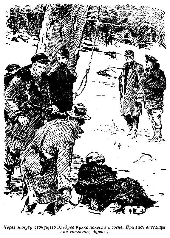 Остров великанов (с илл.) - pic_14.jpg