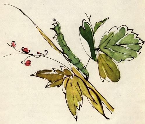 У меня дома пчела - img_10.jpeg