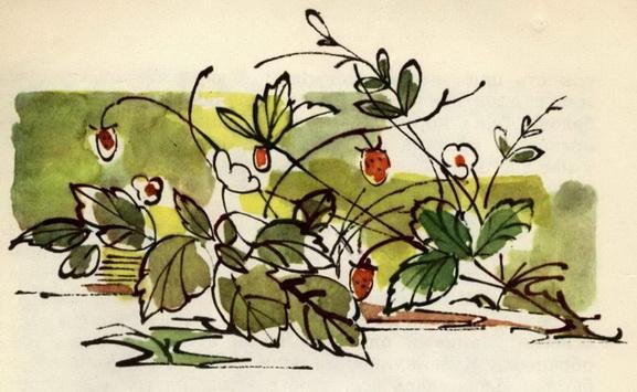 У меня дома пчела - img_11.jpeg