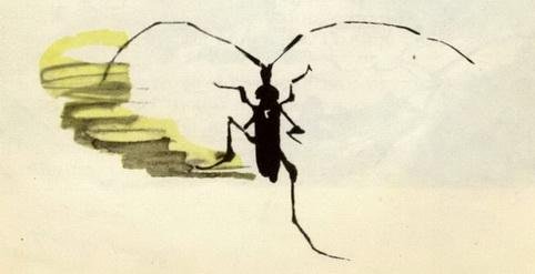 У меня дома пчела - img_13.jpeg