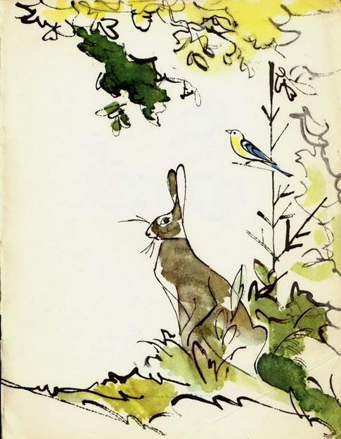 У меня дома пчела - img_14.jpeg