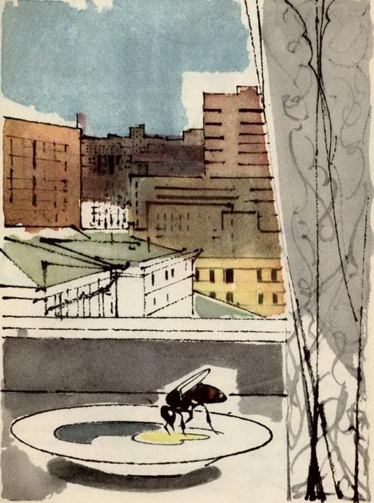 У меня дома пчела - img_5.jpeg