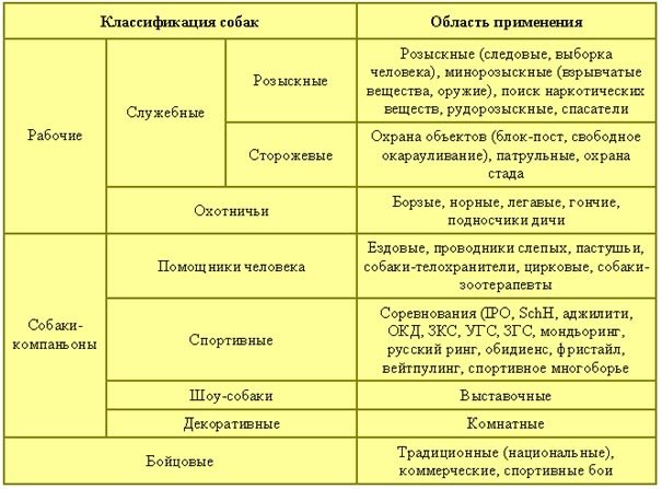 Лечебная кинология. Теоретические подходы и практическая реализация (с иллюстрациями) - pic_13.jpg