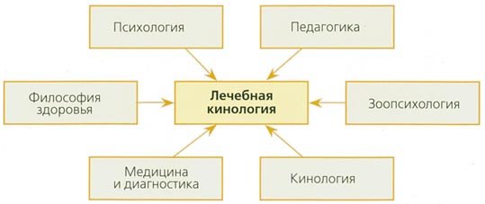 Лечебная кинология. Теоретические подходы и практическая реализация (с иллюстрациями) - pic_18.jpg
