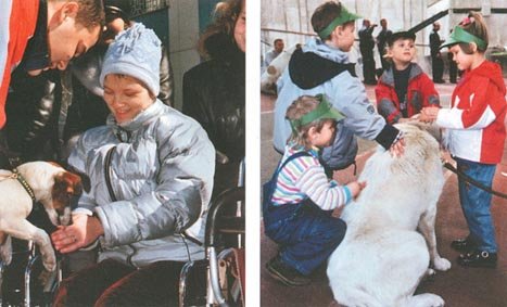 Лечебная кинология. Теоретические подходы и практическая реализация (с иллюстрациями) - pic_26.jpg