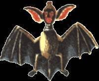 Сказки Западной Африки. Живой огонь - _73.jpg