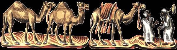 Сказки Западной Африки. Живой огонь - _52.jpg